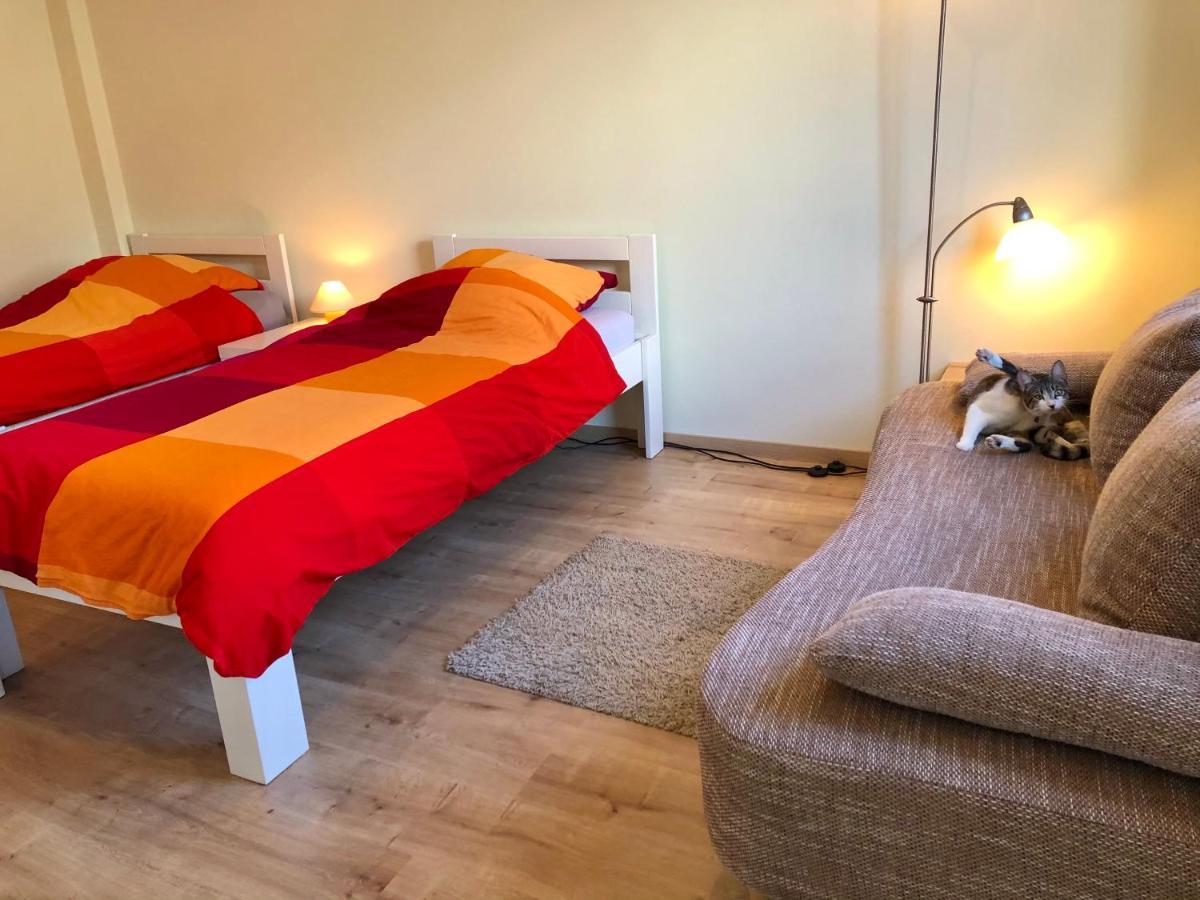 Die Senfbude - Wunderschoene Apartments Fuer 4 Personen Mit Terrasse & Stellplatz Лейпциг Экстерьер фото